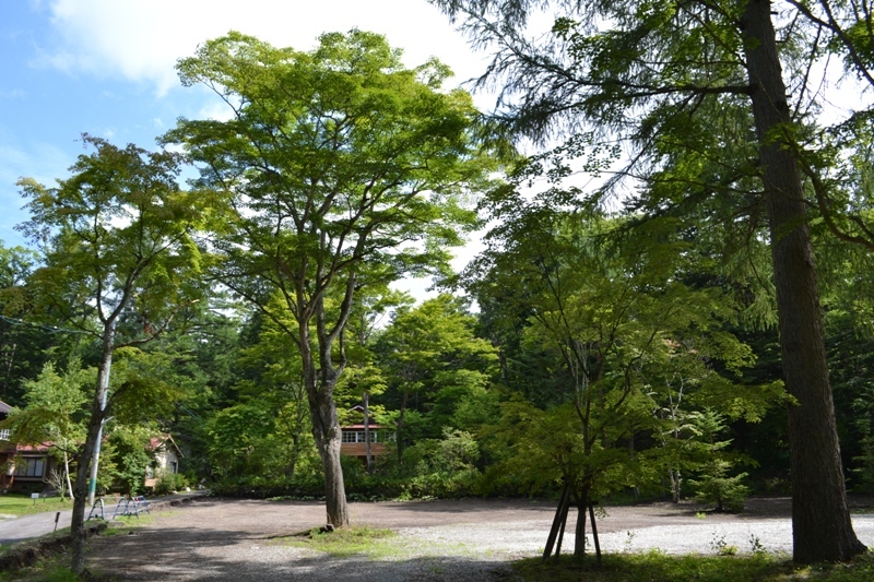 旧軽井沢つるや旅館近隣別荘用地