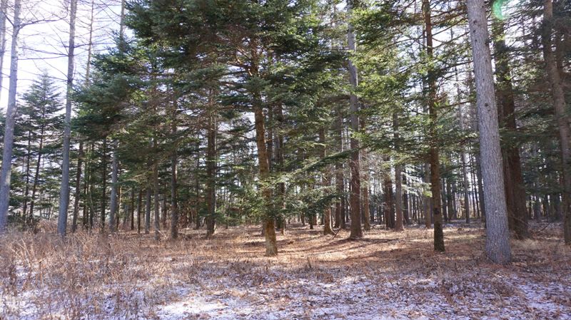 追分上野原別荘用地