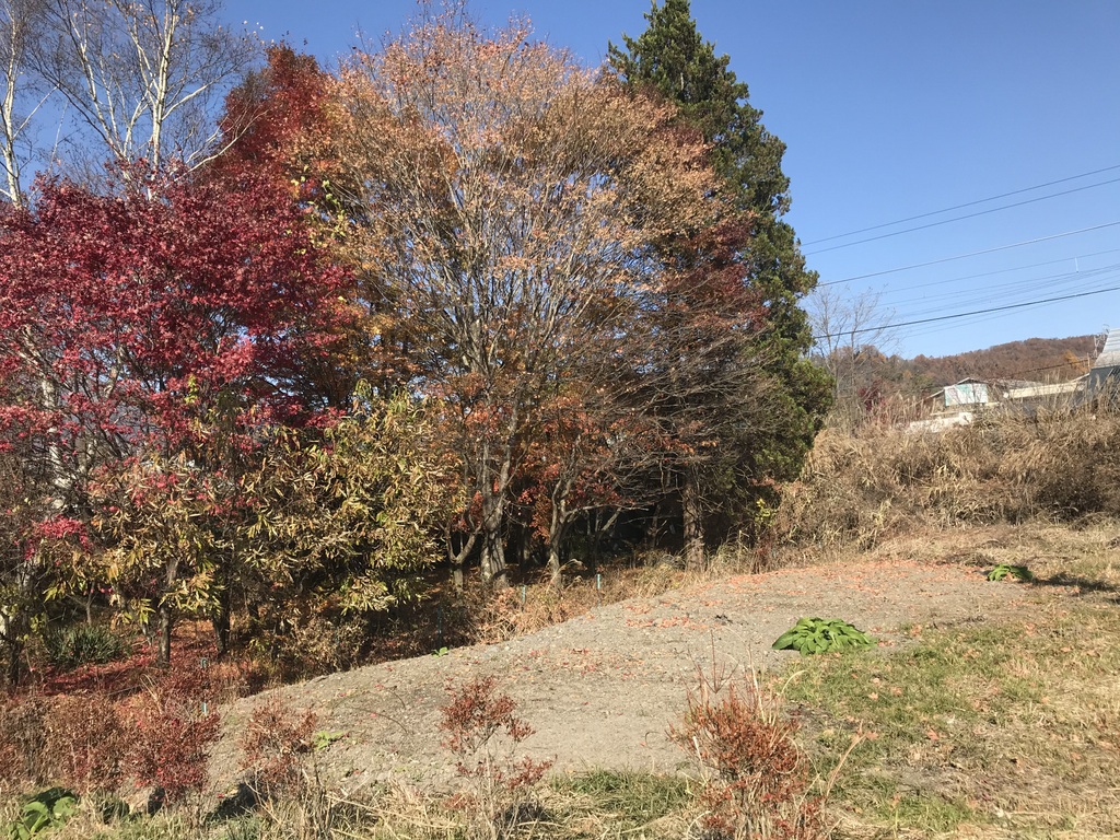 中軽井沢駅近 前沢土地　区画F